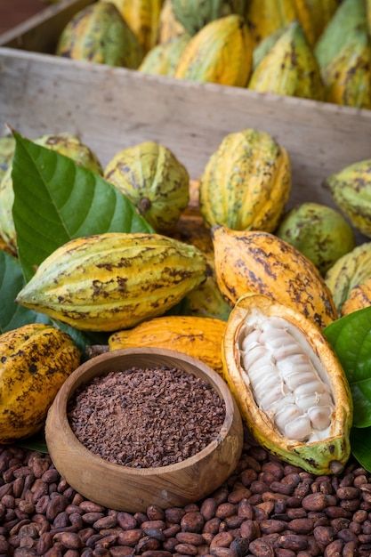 Cocoa Beans